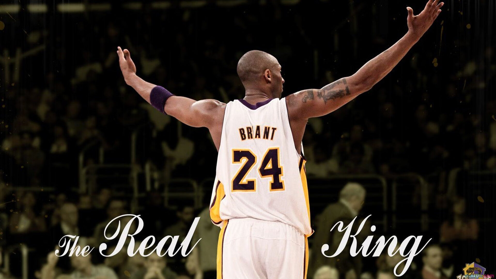 骑士防守锁定胜局，戈贝尔制霸禁区，同一夜晚，统治力没有边界